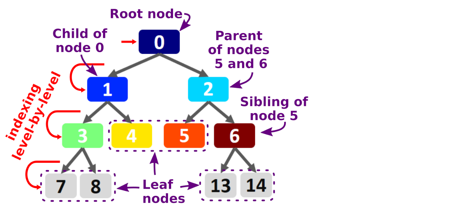 Binary tree nomenclature and conventions